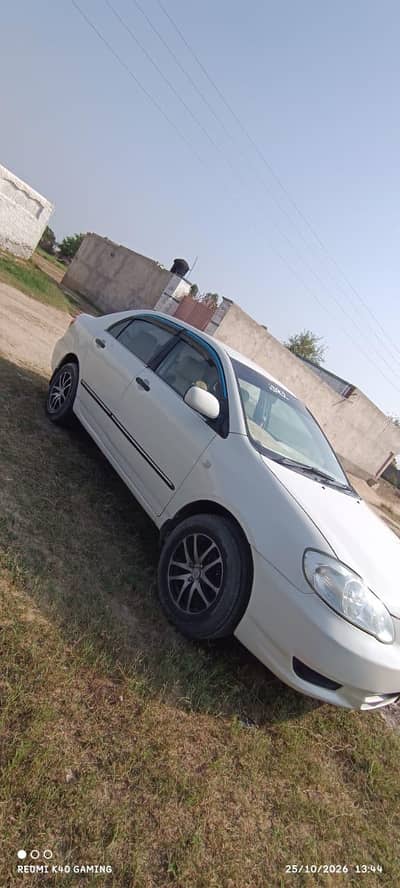 Carola xli for rent