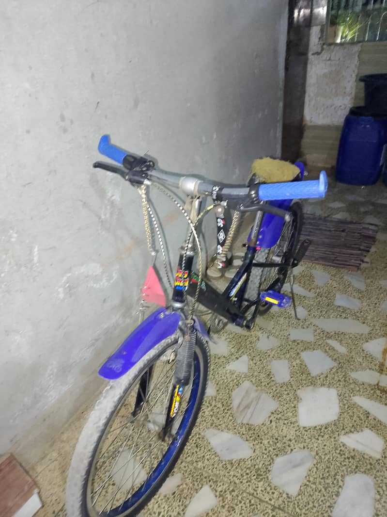 cycle 2