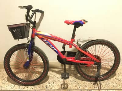Kids Bike 20”
