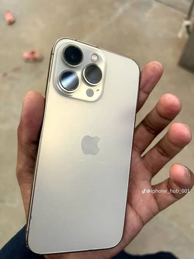 Apple iPhone 13 Pro