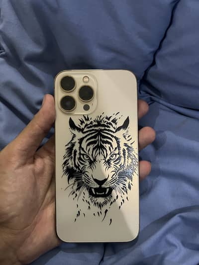iPhone 13 Pro Max Bypass