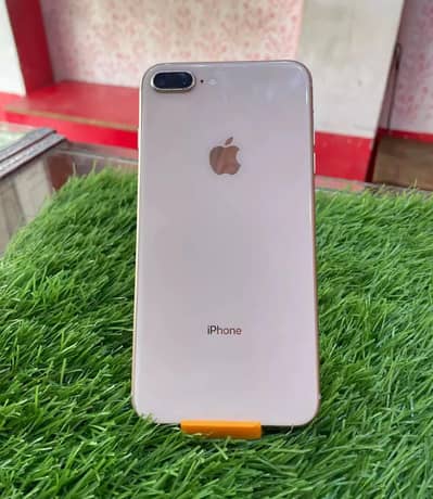 Apple iPhone 8 Plus 256 GB mein official PTI Pro