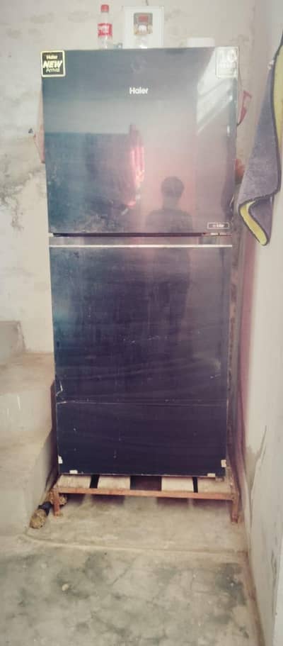 Haier Refrigerator for Sale – Excellent Condition | Rs. 65,000