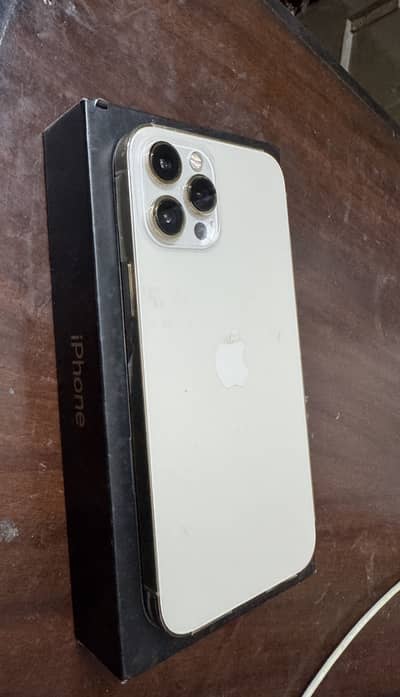 iPhone 12 Pro Max 256 PTA Approved