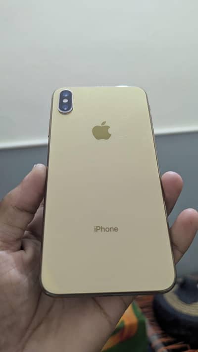 iPhone XS Max pta register