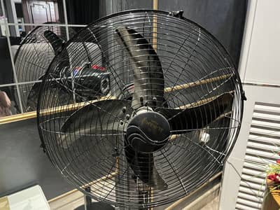 Table fan