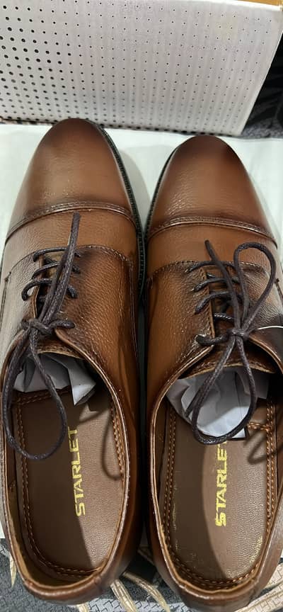 Brand New Starlet Men's Brown Formal Derby Shoes