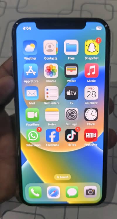Apple iPhone X
