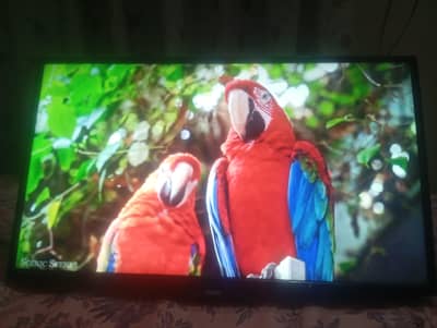 LED 32" Haier