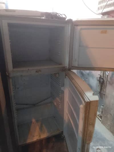 PEL fridge