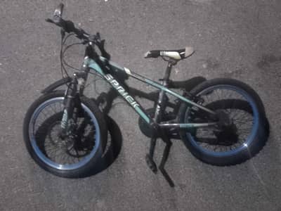 Mountain bike 10 - 14 Age used condition