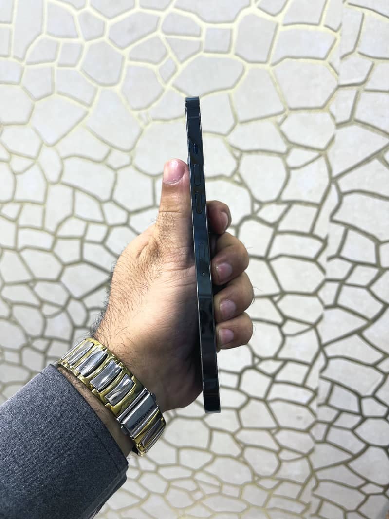Apple iPhone 12 Pro Max 1