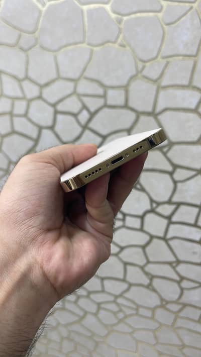 Apple iPhone 12 Pro