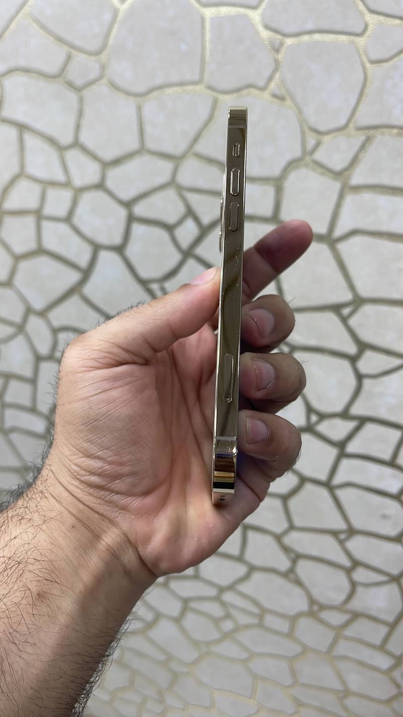 Apple iPhone 12 Pro 4