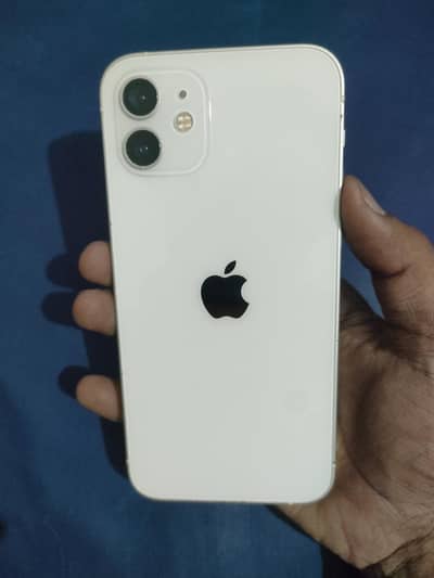 Apple iPhone 12