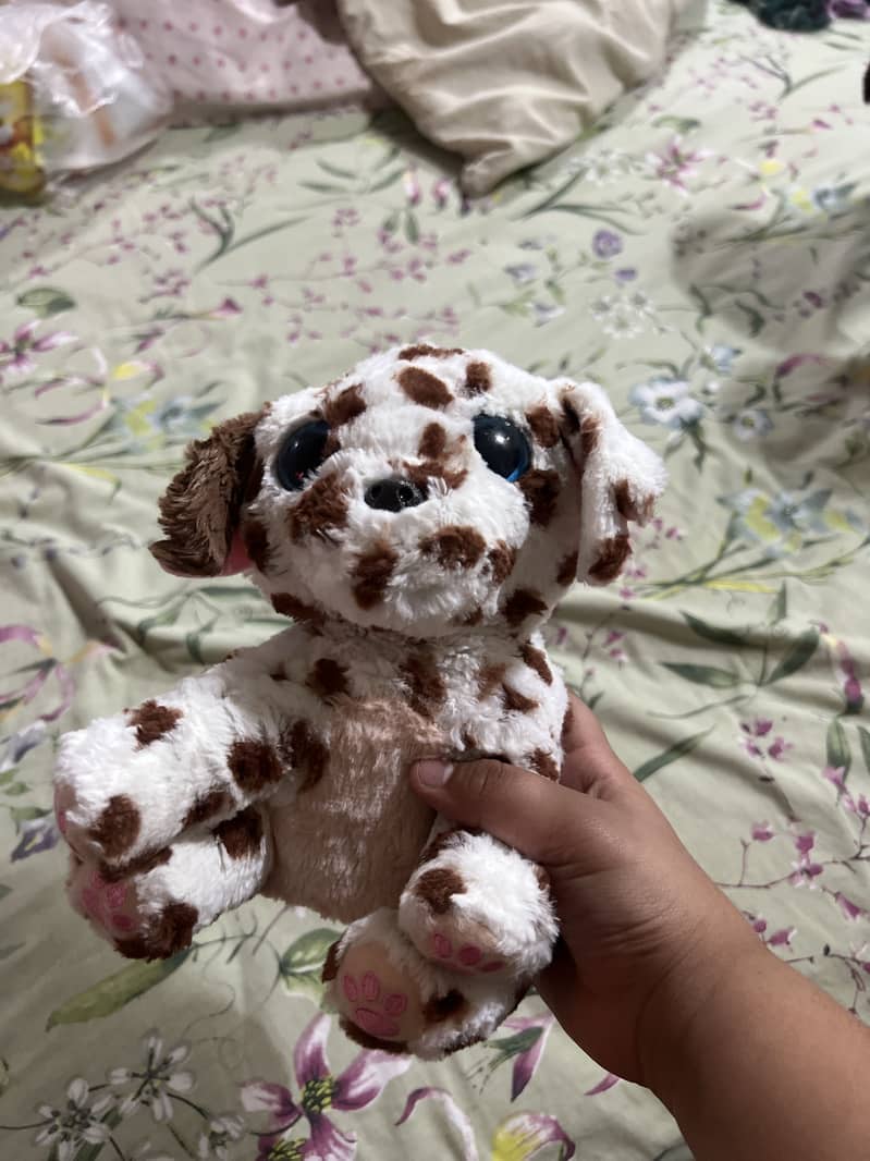 Stuff dog 1