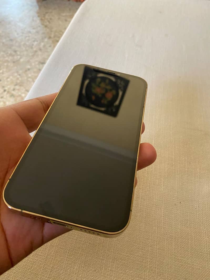Apple iPhone 12 Pro 4