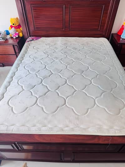 Molty Spring Mattress Queen Size