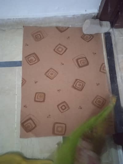 room carpet