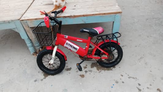 small and big cycles