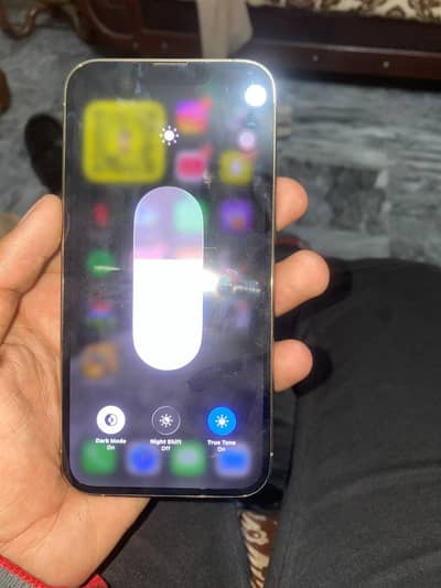 Apple iPhone 13 Pro