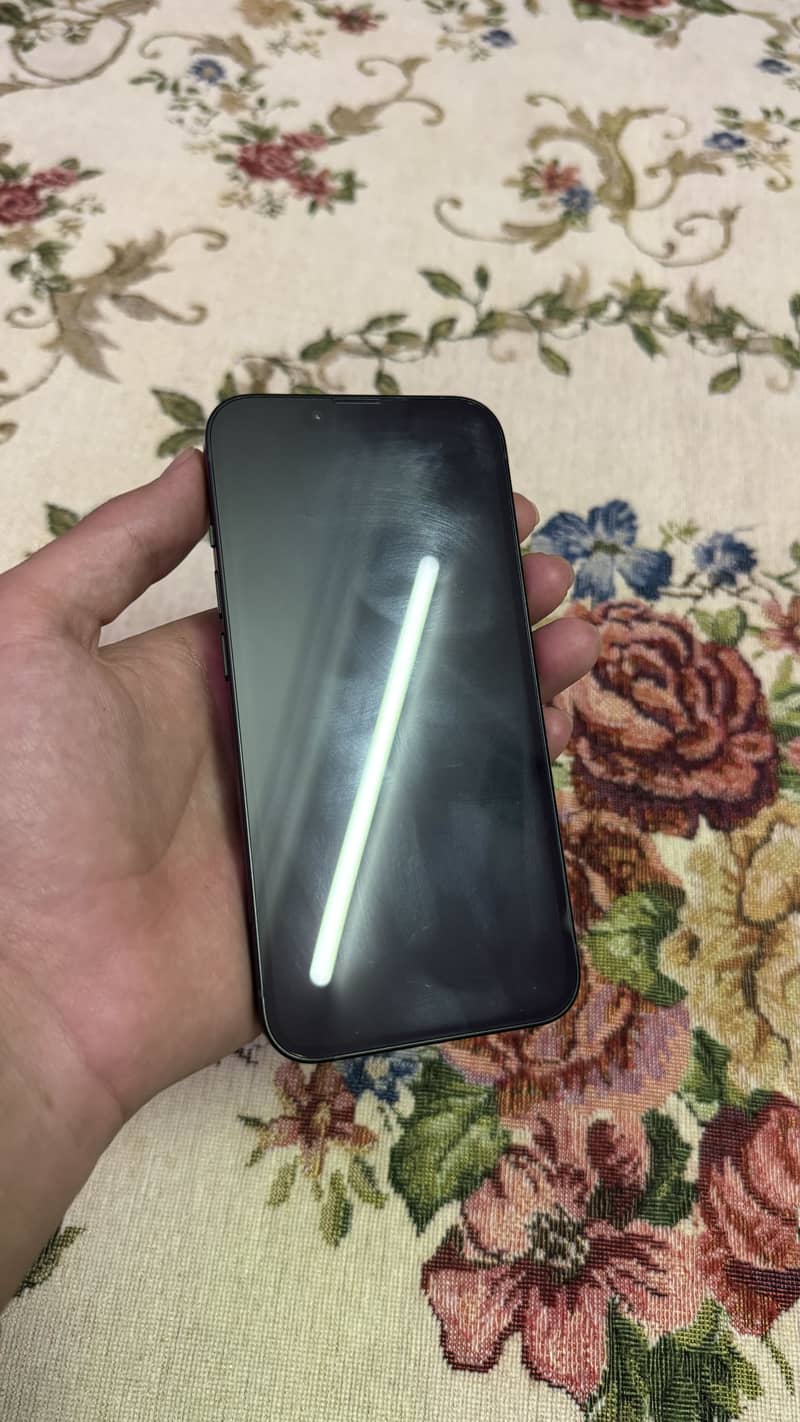 Apple iPhone 13 12