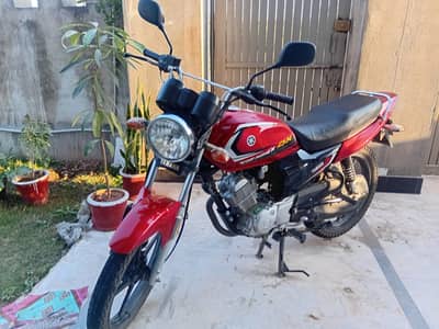 Yamaha YB 125Z-DX 2025