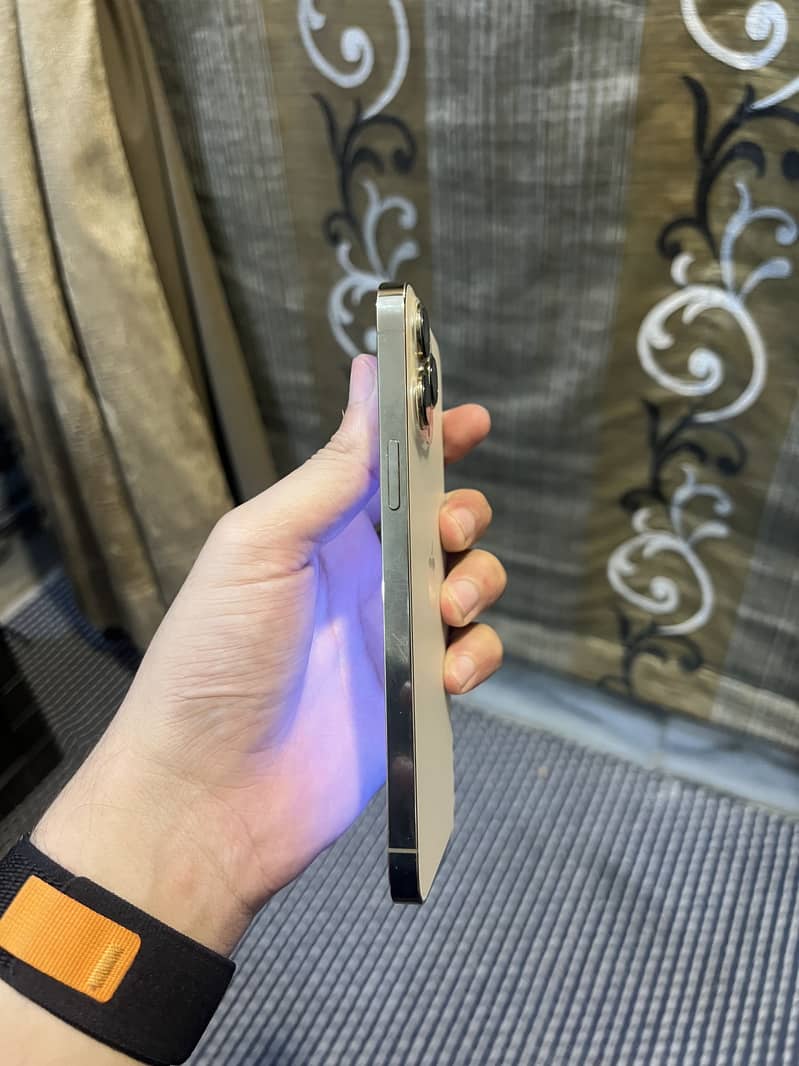 Apple iPhone 13 Pro Max 1