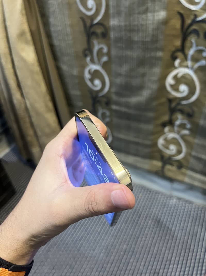 Apple iPhone 13 Pro Max 4