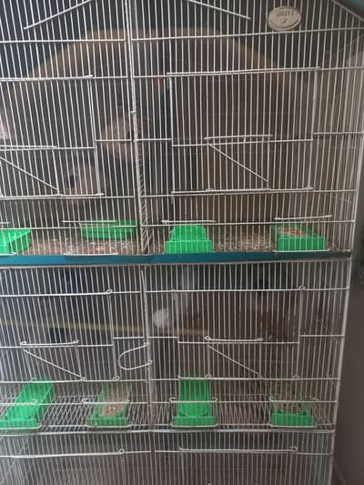 cage.   big saize. birds