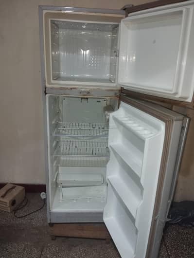 dwalance fridge medium size
