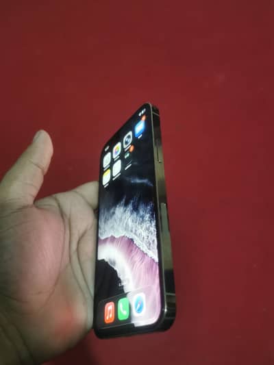 Apple iPhone 12 Pro