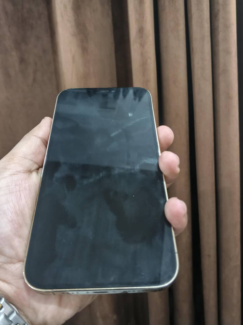 Apple iPhone 12 Pro Max 1