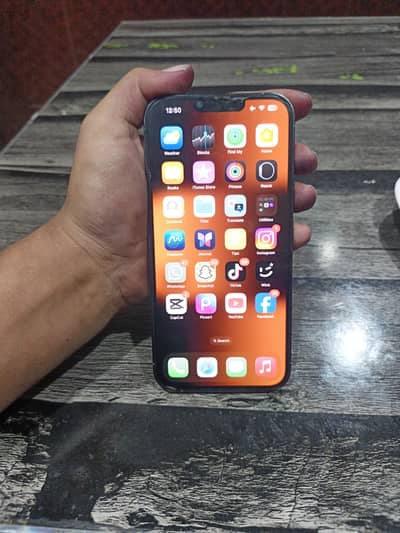 Apple iPhone 13 Pro Max