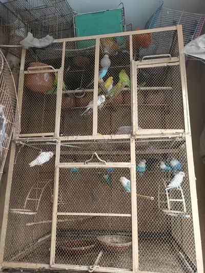 urgent sale