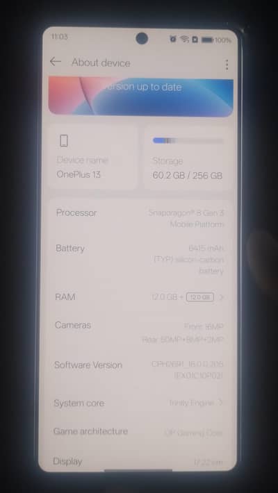One Plus 13R