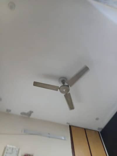 3 Ceiling Fans