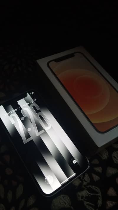 Apple iPhone 12 mini dual sim