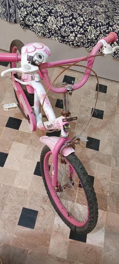 20 Inch Girls Beauty Cycle Pink - 11k Demand - For 7 to 12 Years Girl